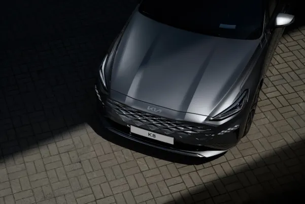 BingoBilly Casino Application Android/iOS